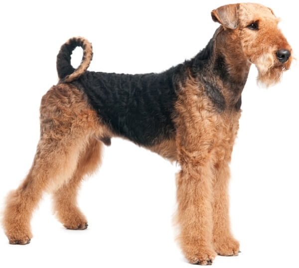 proplan 2